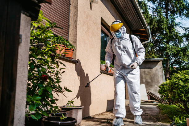 Best Best Pest Control Companies  in West Haven, UT