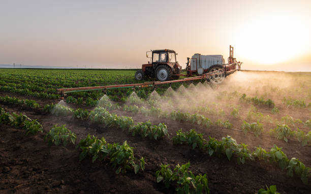 Best Pest Control Treatment  in West Haven, UT