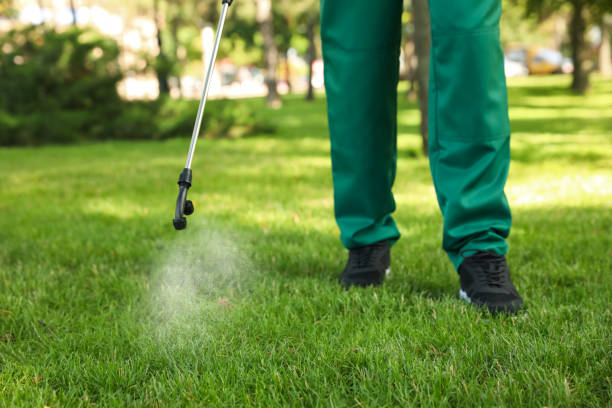 Reliable West Haven, UT Pest Control Solutions