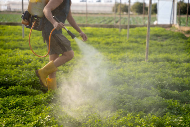 Best Insect Control  in West Haven, UT