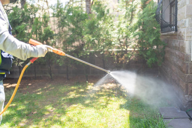 Best Pest Control for Businesses  in West Haven, UT