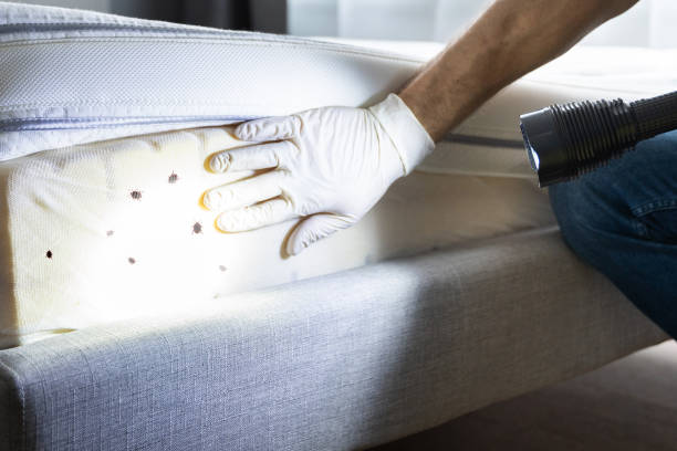 Pest Prevention Services in West Haven, UT