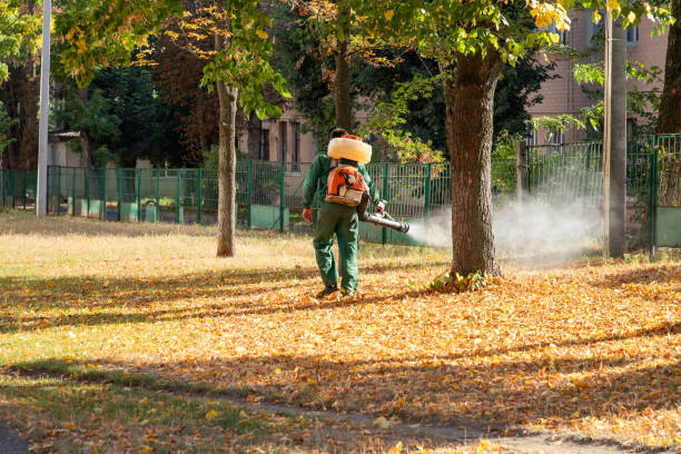 Best Commercial Pest Control Services  in West Haven, UT