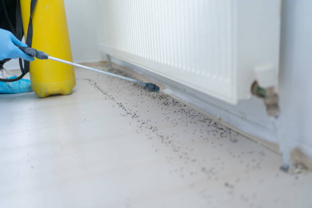 Best Pest Prevention Services  in West Haven, UT