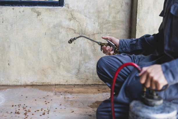 Pest Control for Restaurants in West Haven, UT